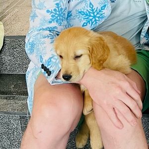 Meet your Posher, William